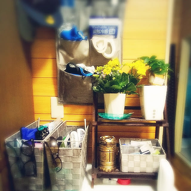玄関/入り口/観葉植物/Daiso/カランコエ/パキラ...などのインテリア実例 - 2021-09-09 18:00:28