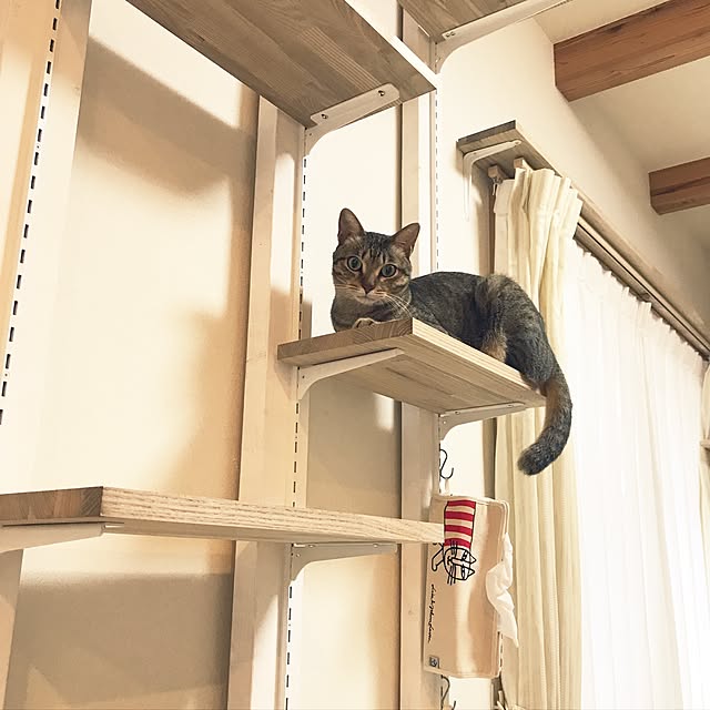 yuki0511さんの実例写真
