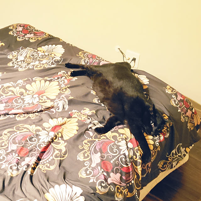 zenoさんの実例写真