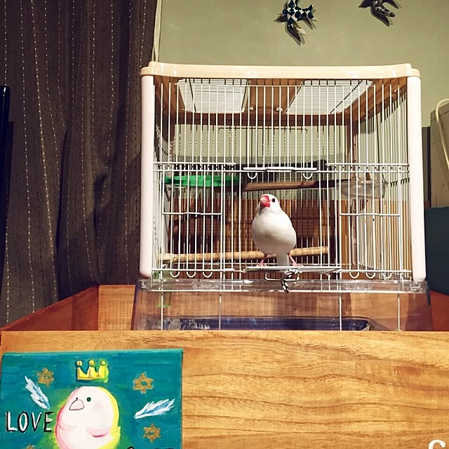 cubeさんの実例写真