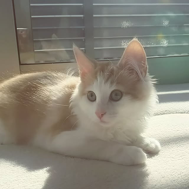 nao0219さんの実例写真