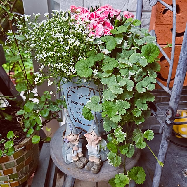 mocomocoさんの部屋