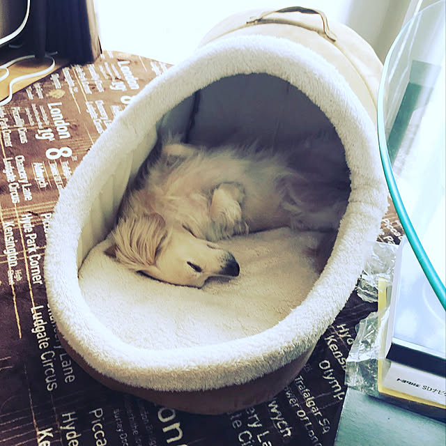 ruki928さんの実例写真