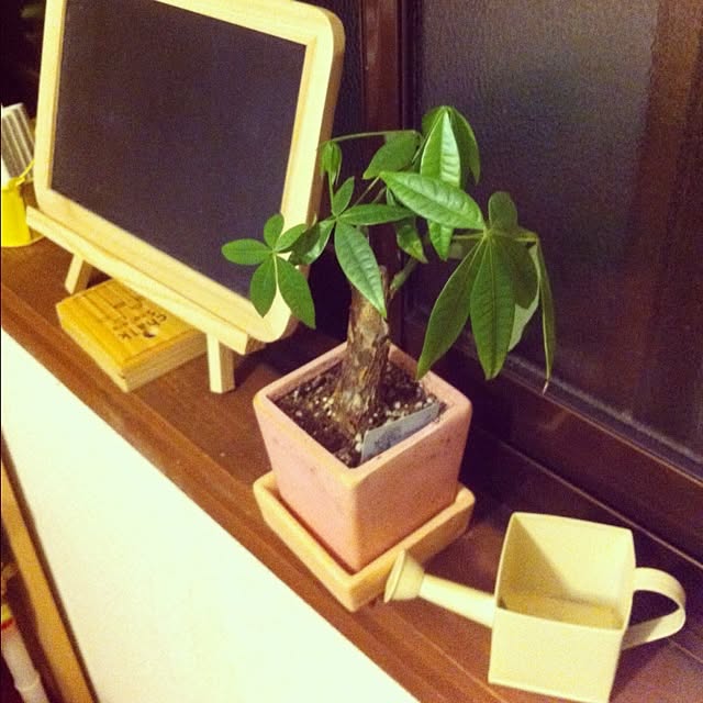 e2さんの実例写真