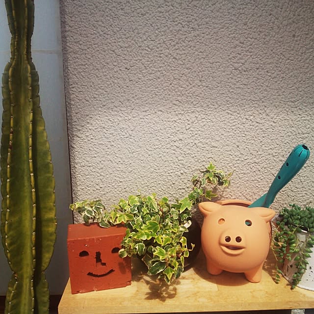 peppermintさんの実例写真
