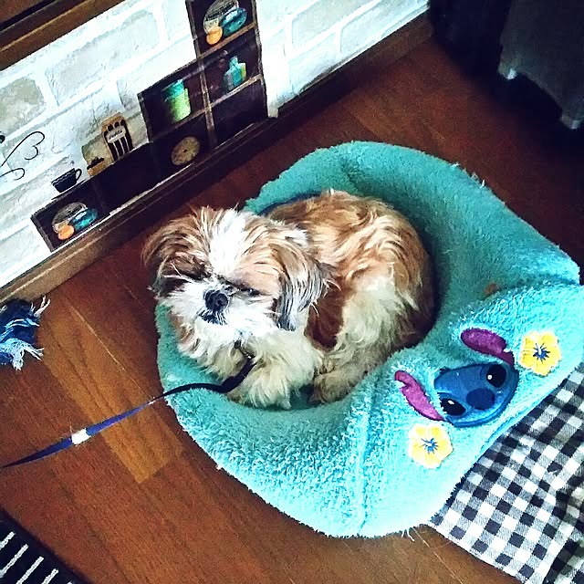 yuwanmama1025さんの実例写真