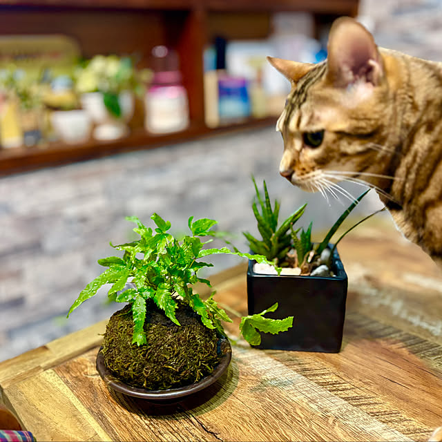 tututu0204さんの部屋