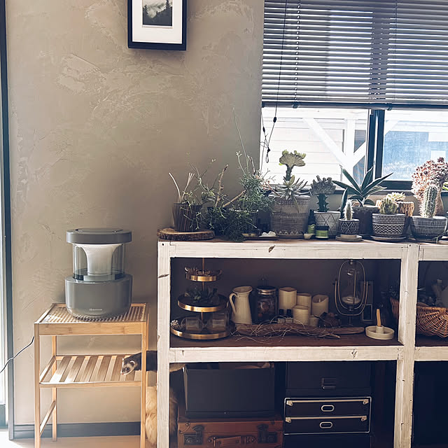 kitoneさんの部屋