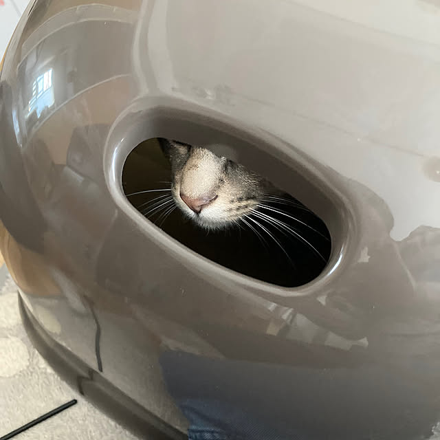 Yuccaさんの実例写真