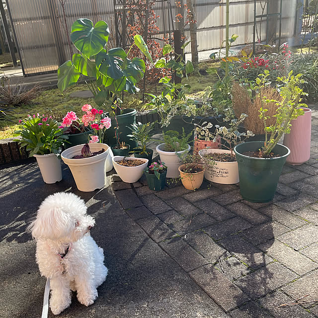 kakoさんの実例写真
