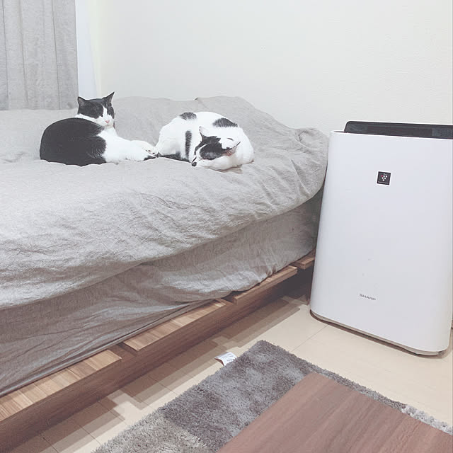 orihikoさんの実例写真
