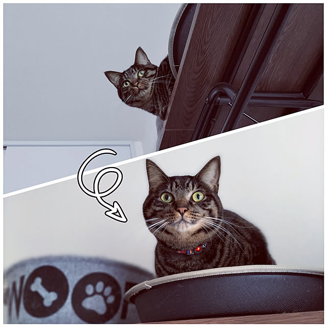 hihaさんの実例写真