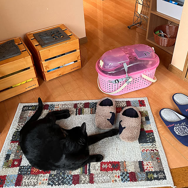 jijiさんの実例写真