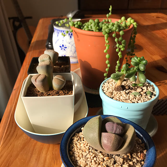 miyamiyaさんの実例写真