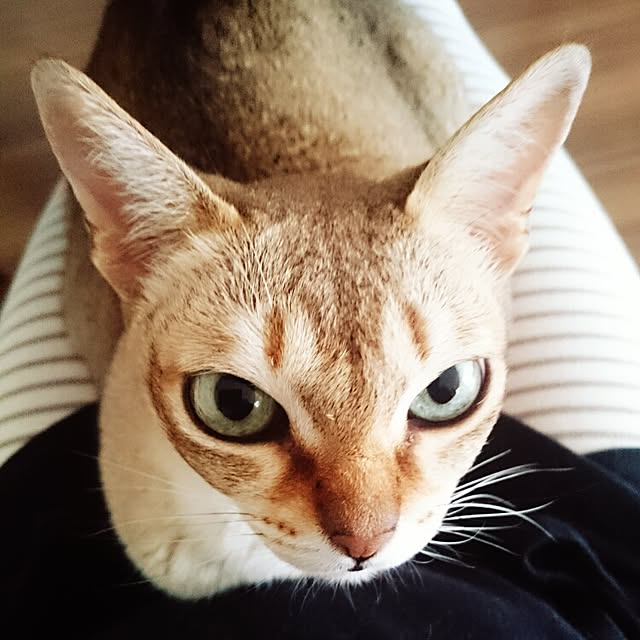 Jcさんの実例写真