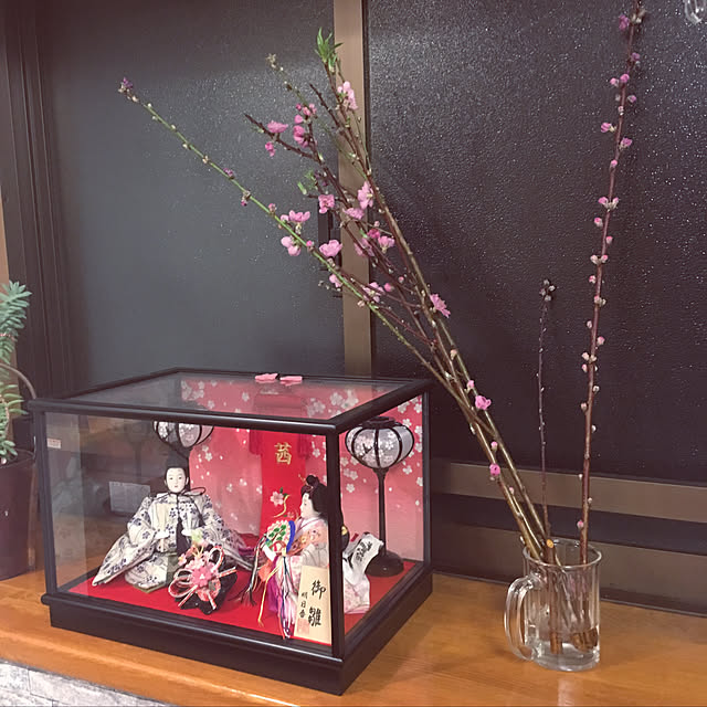 t-shoji8186さんの実例写真