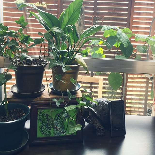 MKroomさんの実例写真