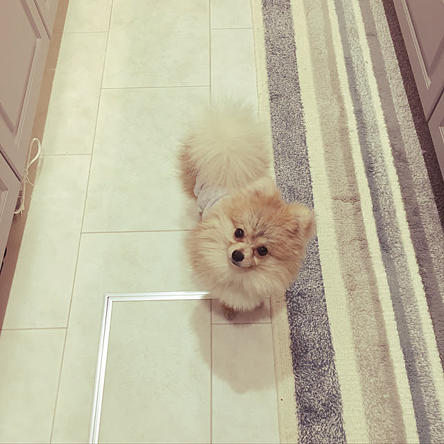 MAKARONさんの実例写真