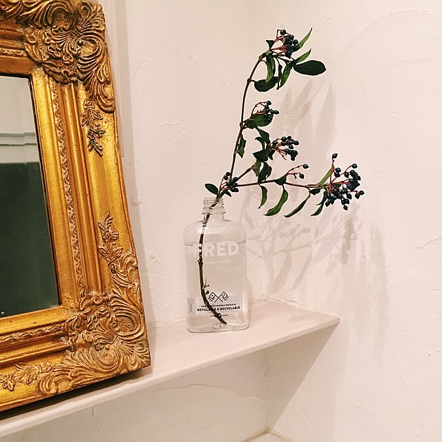 lena_henzaさんの実例写真