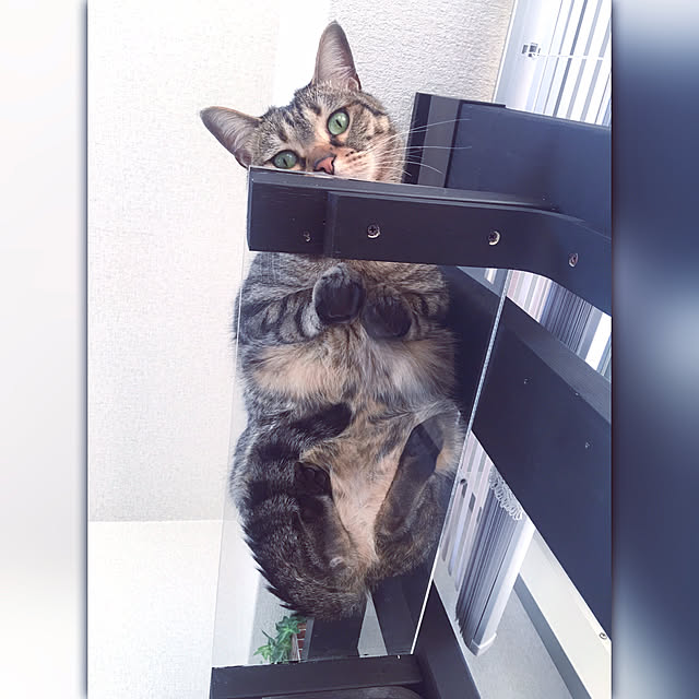 mugisobaさんの実例写真
