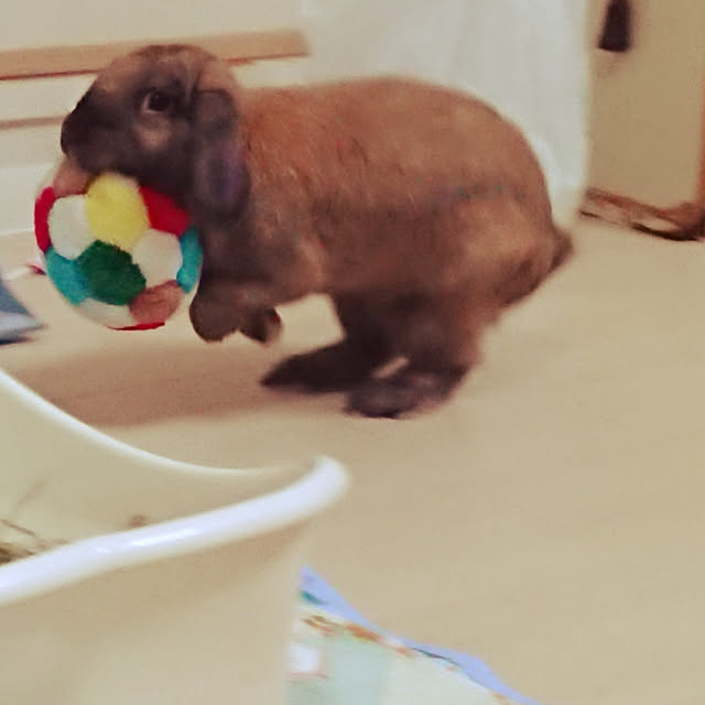 mariaさんの実例写真