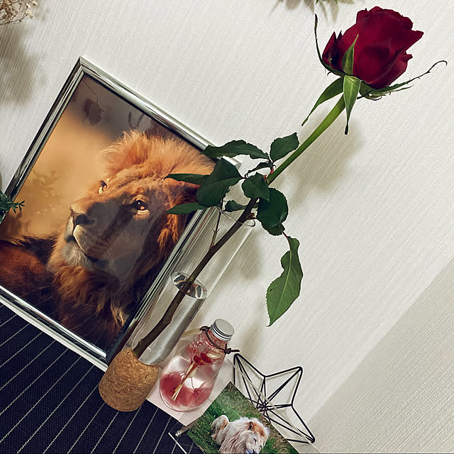 mpiさんの実例写真