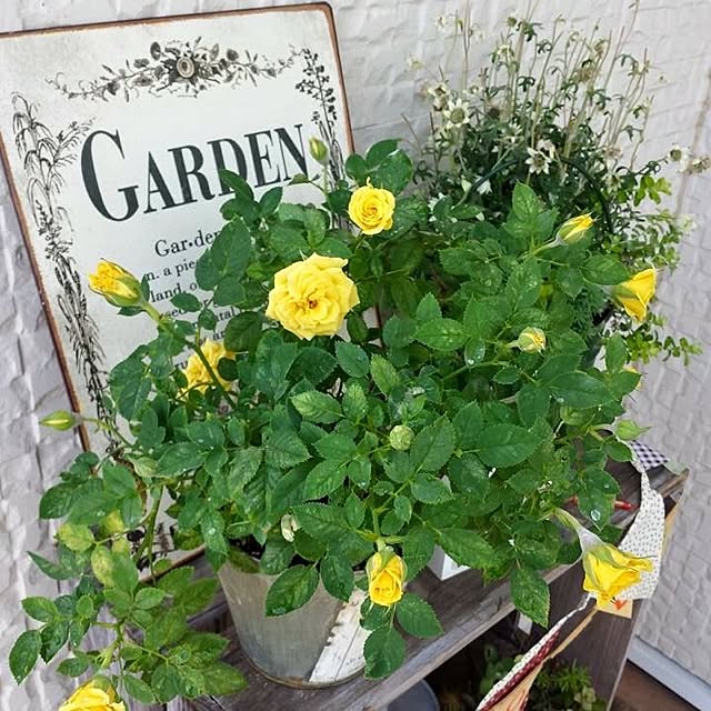 YUKIさんの実例写真