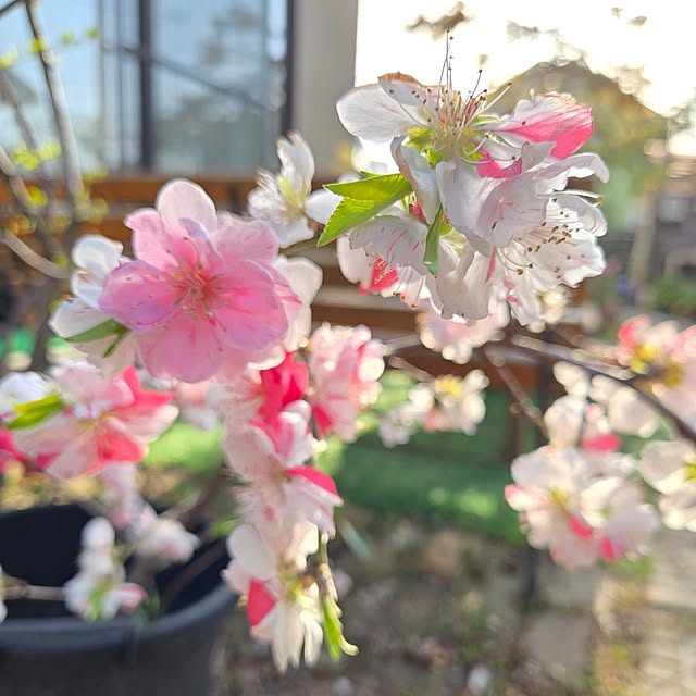 min_nimさんの実例写真
