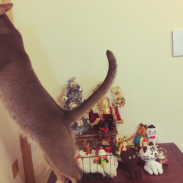 mi_koさんの実例写真