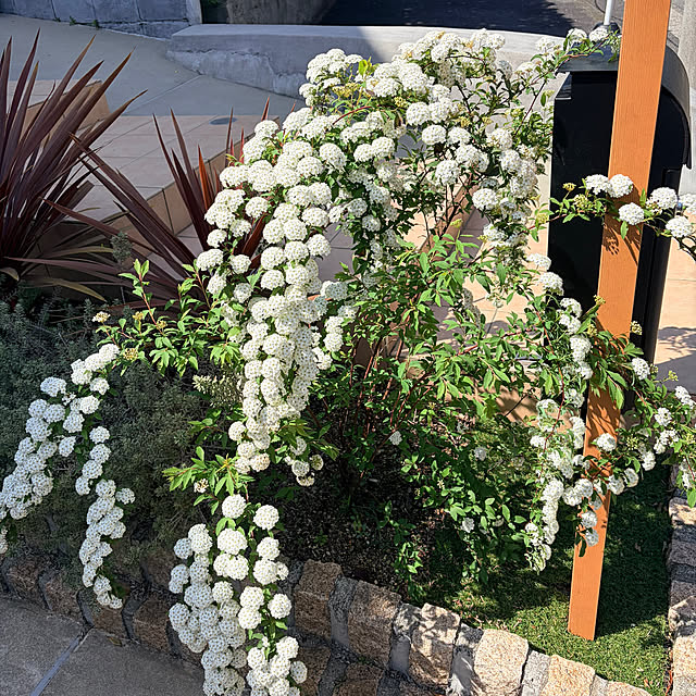 temayutomaさんの実例写真