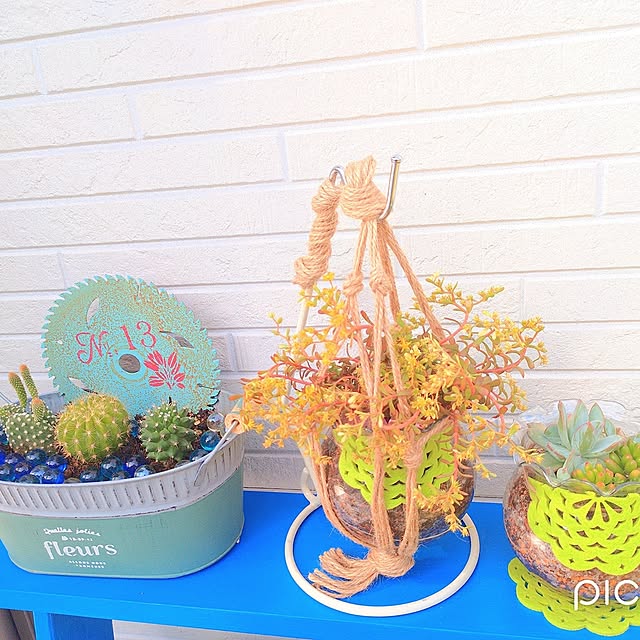 Miyumamaさんの実例写真