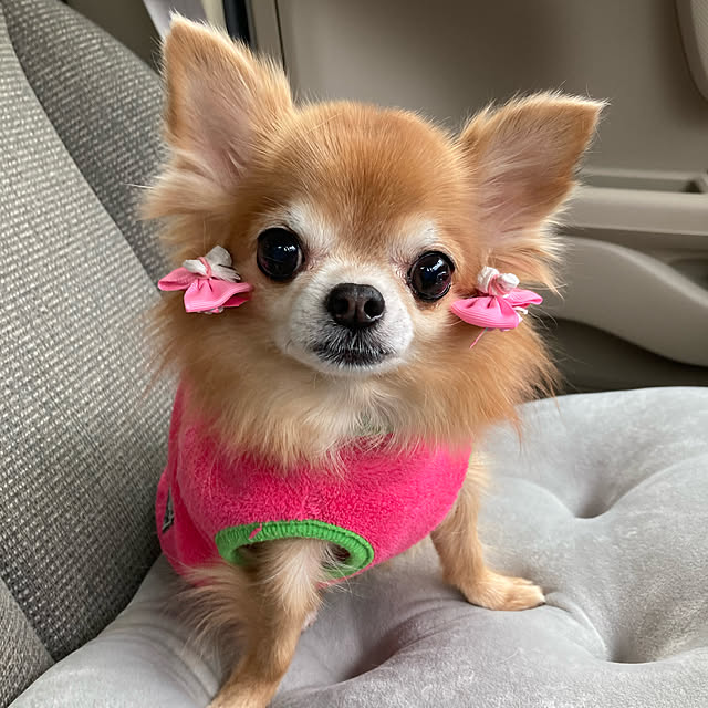 koroさんの実例写真