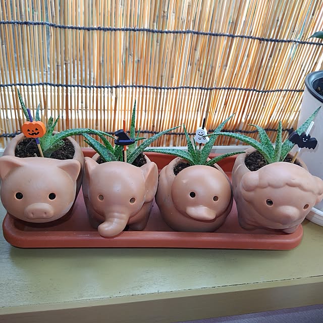 katさんの部屋
