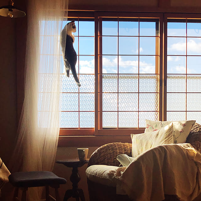 a.f.さんの実例写真