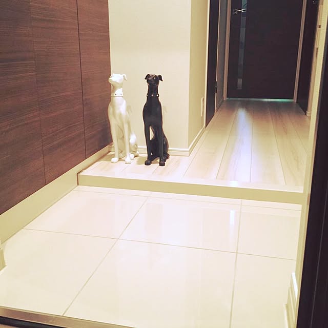 Mayuさんの実例写真