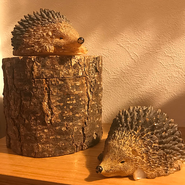 BUNさんの実例写真