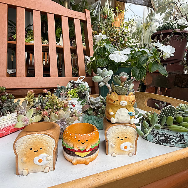 Aqettyさんの実例写真