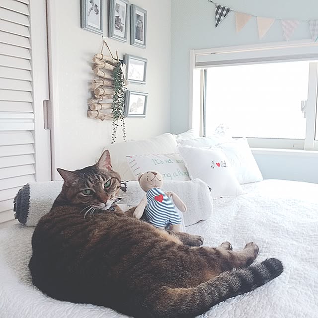 lovecatさんの実例写真
