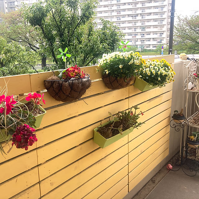 marukoさんの部屋
