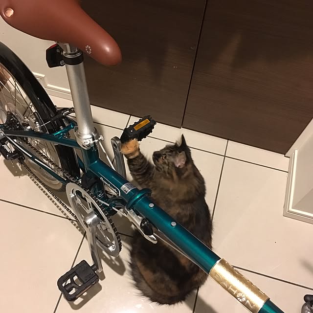 mikomaruさんの実例写真
