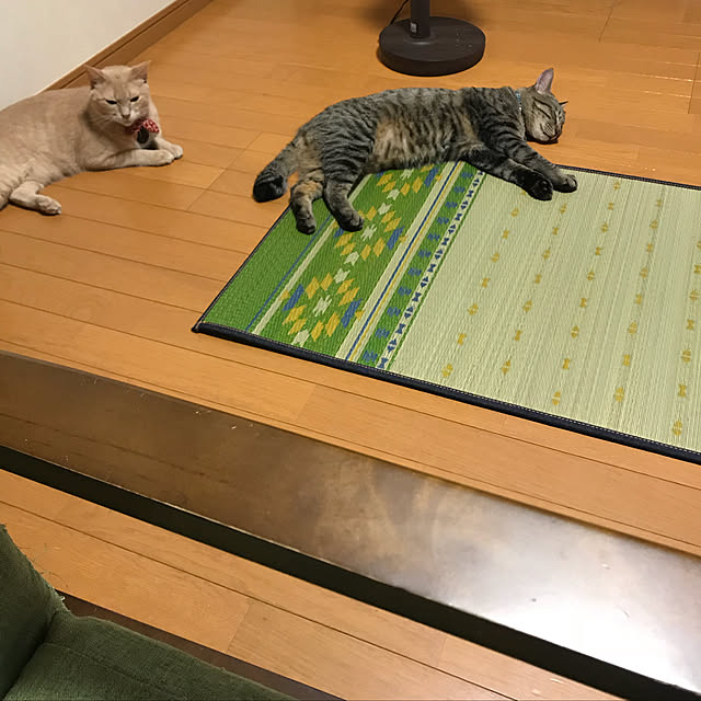 mikan161さんの実例写真