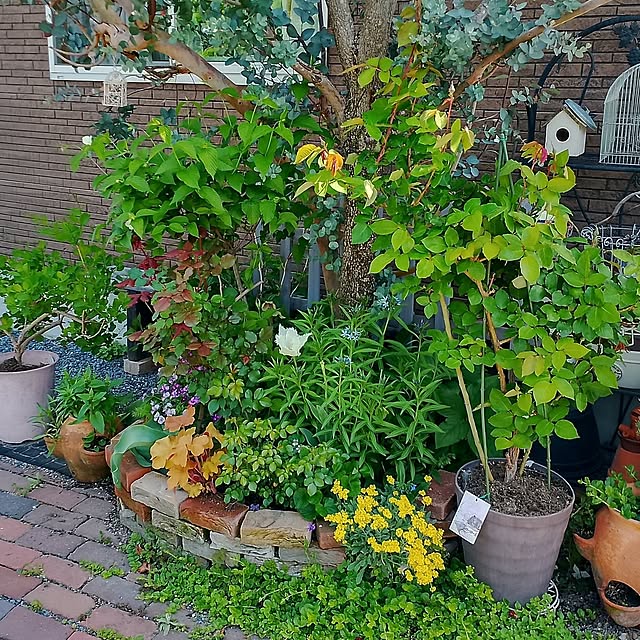 civicglさんの部屋