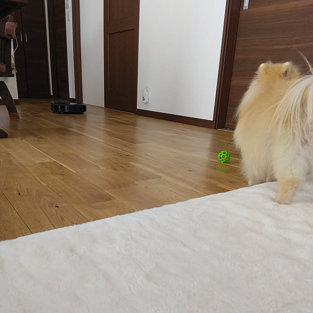 moyoさんの実例写真