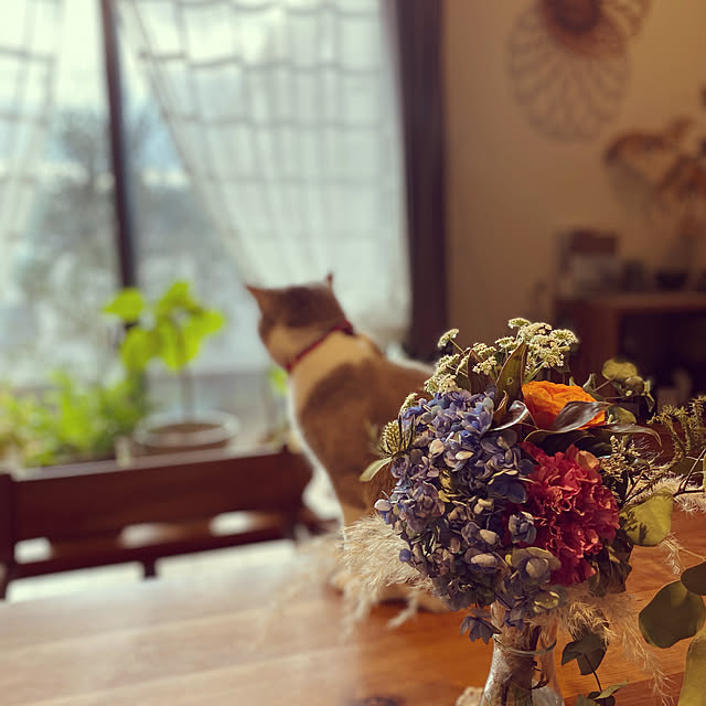 taakoさんの実例写真