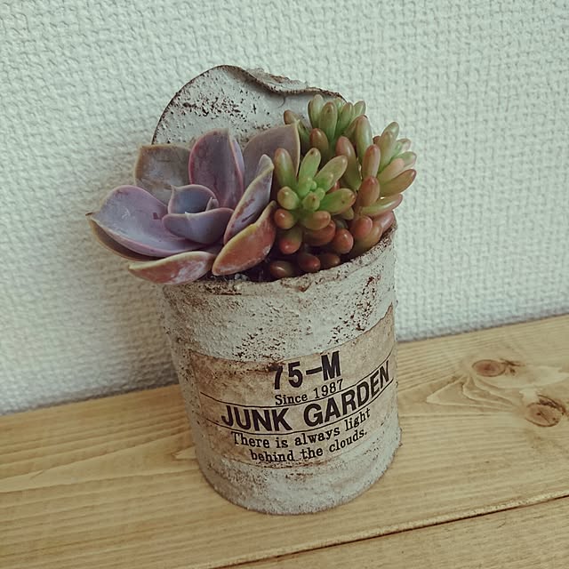buuさんの実例写真