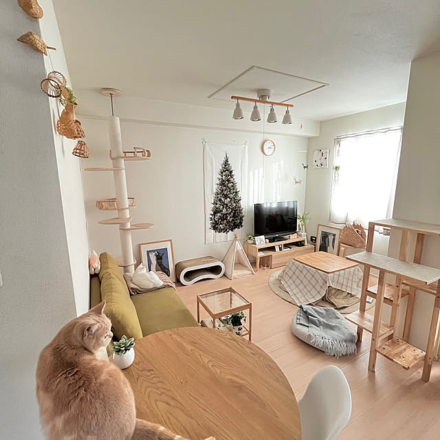 kiyomiさんの実例写真