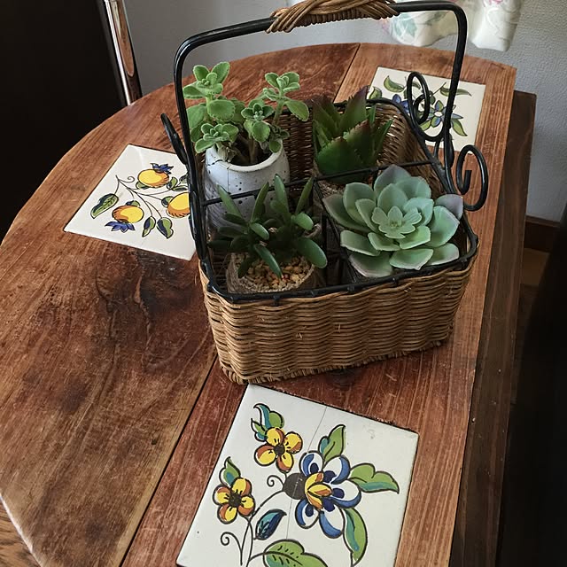 机/籐のかご/癒し*´｀*/多肉植物のインテリア実例 - 2016-06-06 13:38:14