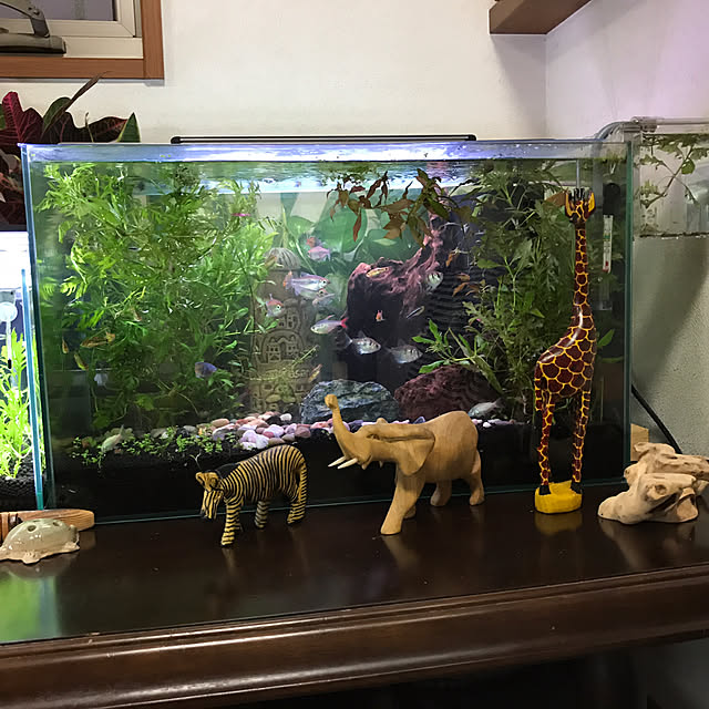 tornadeさんの実例写真