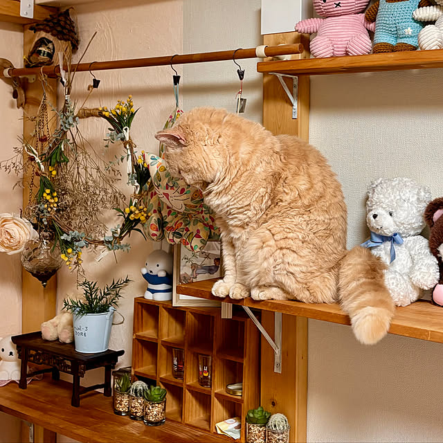 naokoさんの部屋