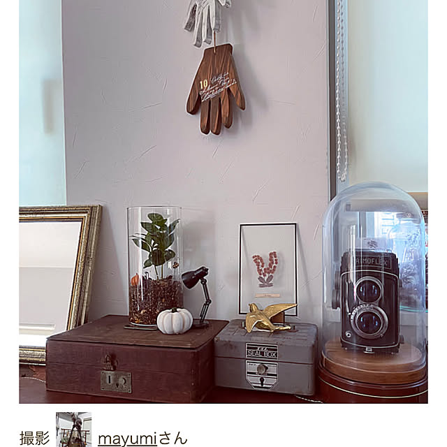mayumiさんの実例写真